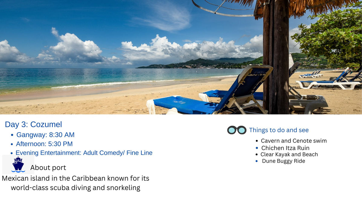 The Ultimate Stress-Free Cruise Organizer (Digital Download)