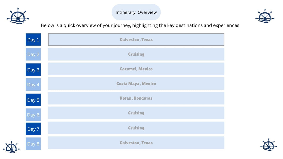 The Ultimate Stress-Free Cruise Organizer (Digital Download)